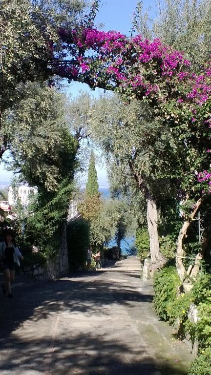 Camping Nube D'Argento Sorrento Exterior photo
