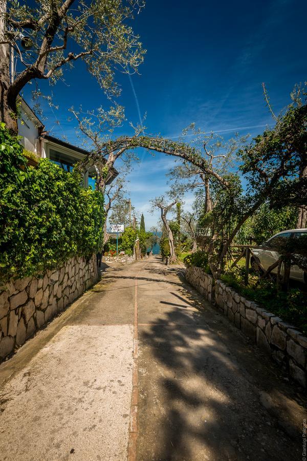 Camping Nube D'Argento Sorrento Exterior photo